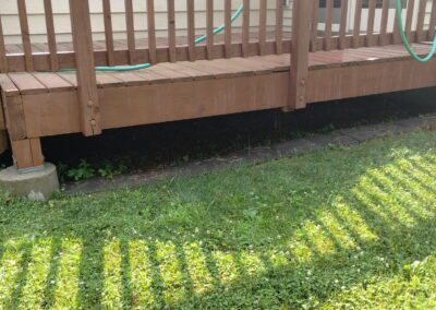 Deck before